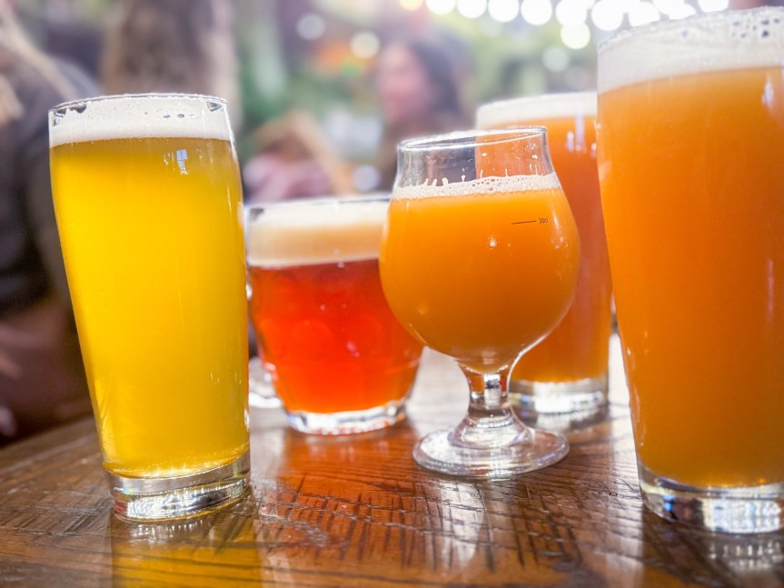弁論大会の後の飲み会の挨拶をカットインして弁を振るう